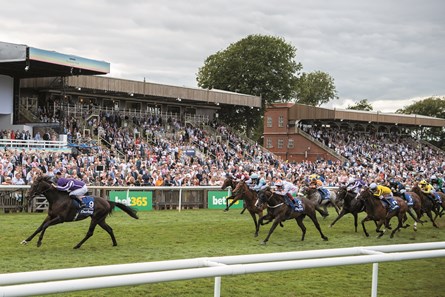 Ten Sovereigns (ire) - Horse Profile - Bloodhorse