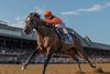 Imperial Hint with jockey Javier Castellano wins the 35th running of the Vanderbilt Saturday July 27, 2019at the Saratoga Race Course in Saratoga Springs, N.Y.