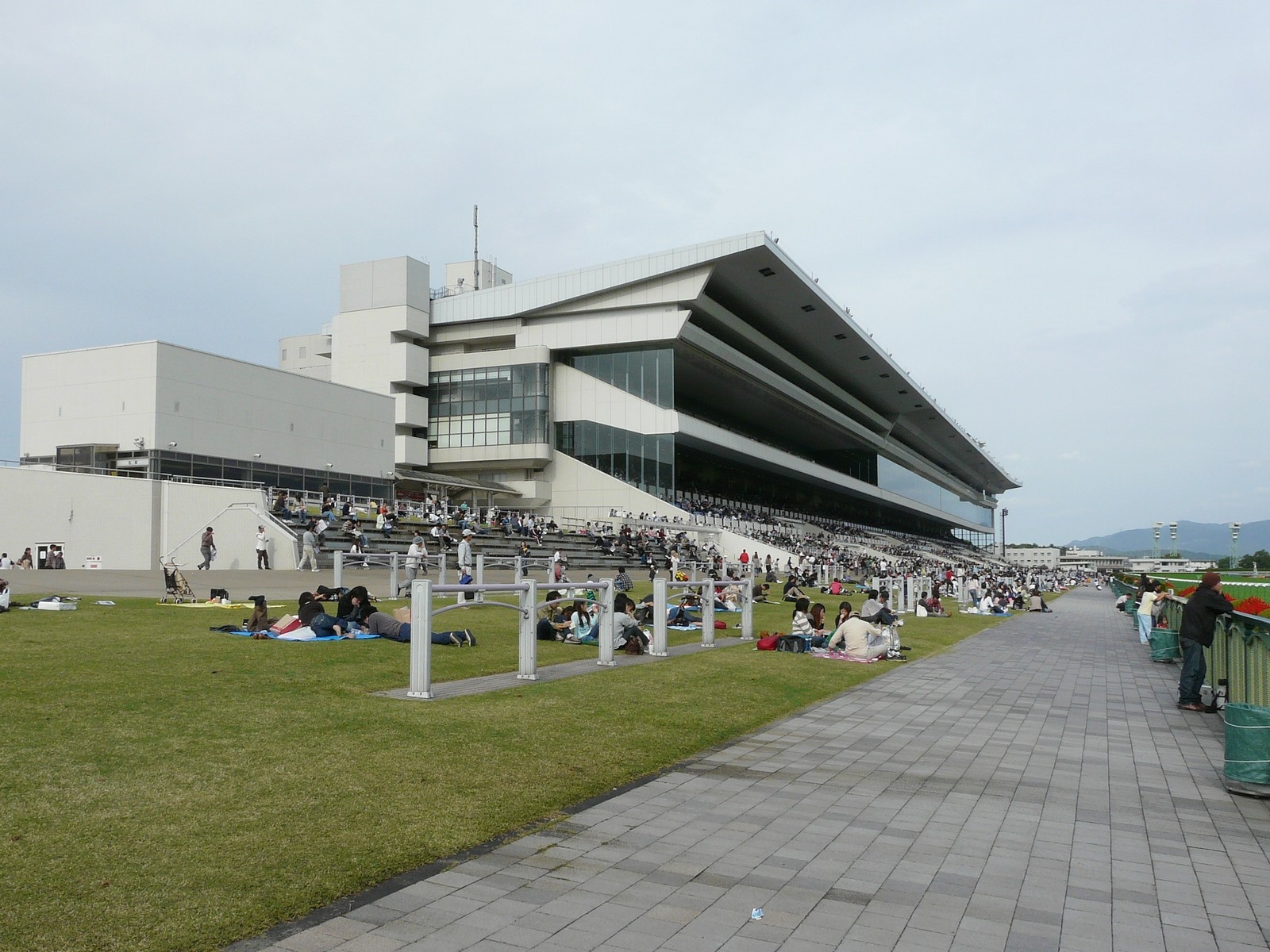 Racing Set to Return to Kyoto Racecourse BloodHorse