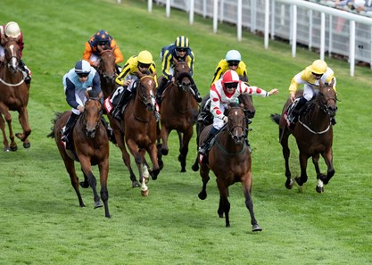 Liberty Beach Gb Horse Profile Bloodhorse