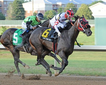 D' Rapper - Horse Profile - BloodHorse