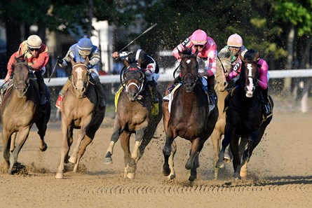 Tax - Horse Profile - BloodHorse