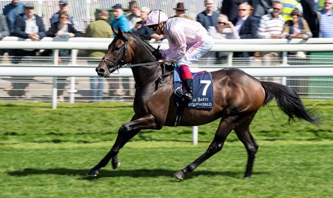 Too Darn Hot Takes Center Stage In Sussex Stakes Bloodhorse