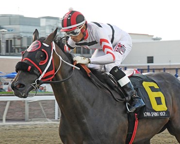 D' Rapper - Horse Profile - BloodHorse