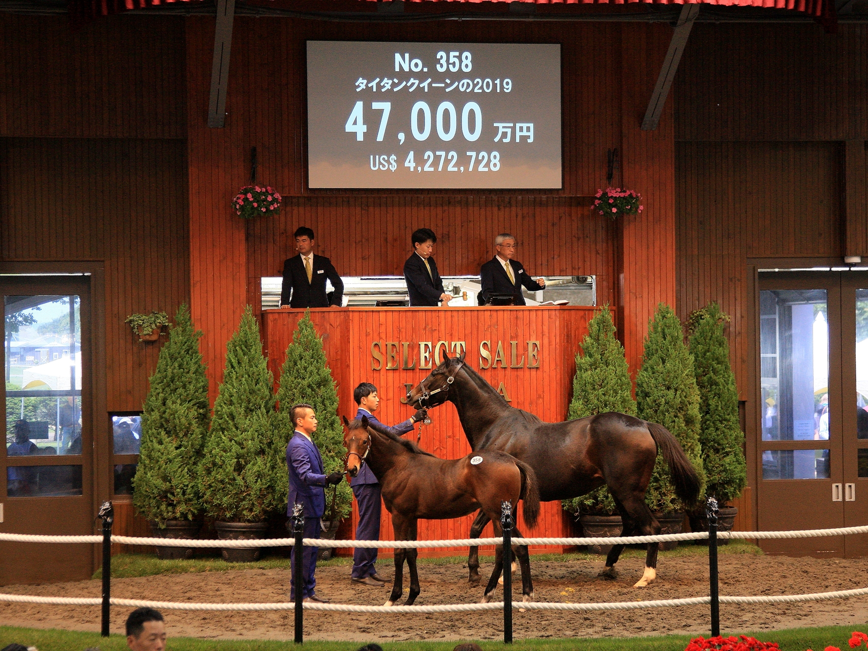 Deep Impact Headlines Again at JRHA Select Sale's Close - BloodHorse