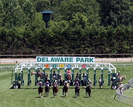 Racing on the turf at Dalaware Park