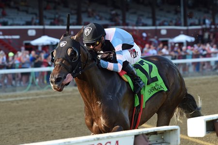 Shancelot wins the 2019 Amsterdam Stakes at Saratoga Race Course