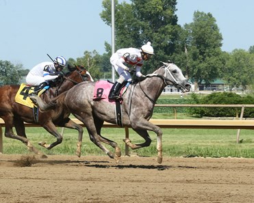 Volatile Stallion Volatile - Horse Profile - BloodHorse