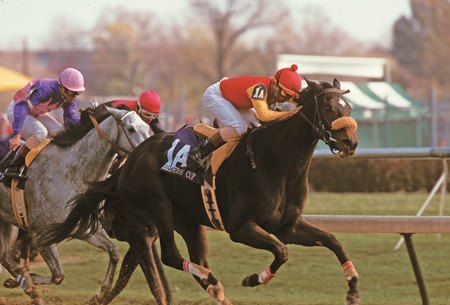 Dance Smartly wins the 1991 Breeders' Cup Distaff at Churchill Downs