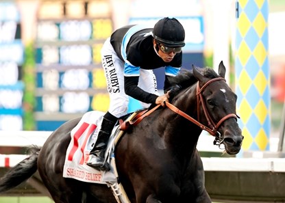 After Shared Belief's death, owner Jim Rome to stay in horse racing