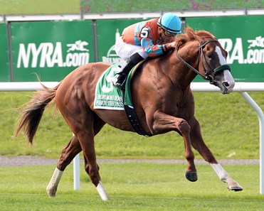Force The Pass Horse Profile Bloodhorse
