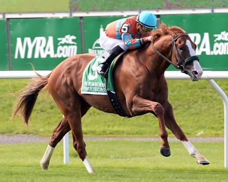 Force the Pass wins the 2015 Belmont Derby Invitational Stakes at Belmont Park