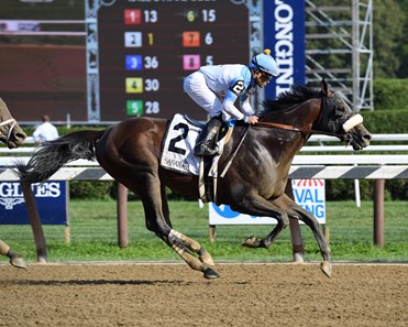 Tom's d'Etat - Horse Profile - BloodHorse