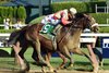 Preservationist wins 2019 Woodward Stakes at Saratoga