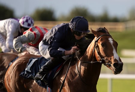 Armory wins the Futurity Stakes at the Curragh