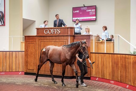 Admiral Nelson sold for a Goffs UK Premier Sale record in 2019