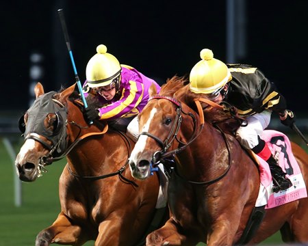 English horse racing card English horse racing card