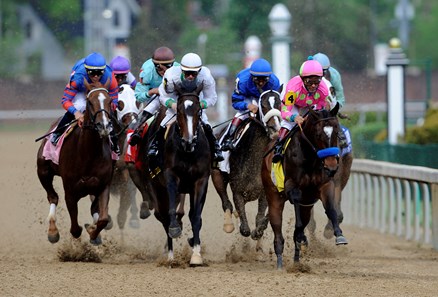 Rachel Alexandra - Horse Profile - BloodHorse