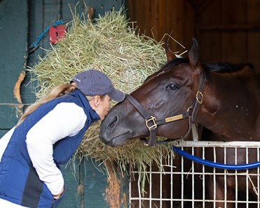 Tom's d'Etat - Horse Profile - BloodHorse