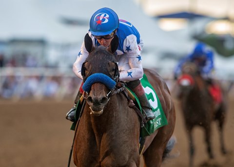 Out Of The Gate Back To Bast Bloodhorse bloodhorse