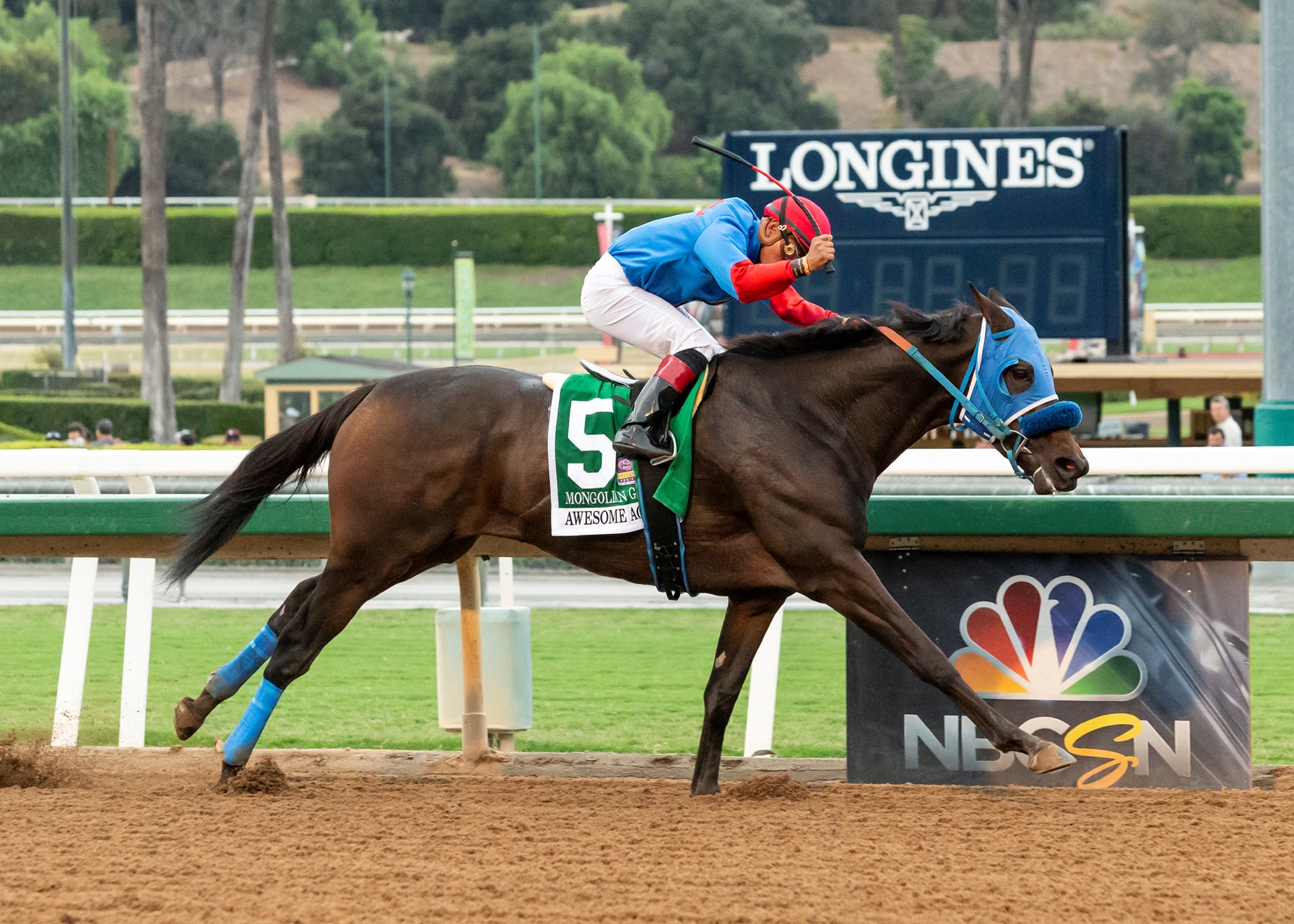 Mongolian Groom Horse Profile BloodHorse