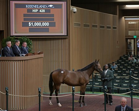 Overtook in the ring at the 2019 Keeneland September Sale