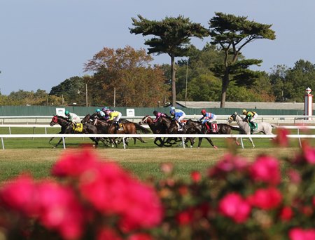 Monmouth Park 2022 Schedule Meadowlands-At-Monmouth Meet Added To Schedule - Bloodhorse