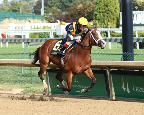 Covfefe Connections Turn Focus to Breeders' Cup - BloodHorse