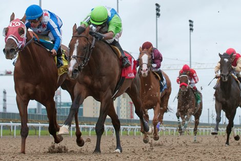 Horse Racing Crops Woodbine to Try New Rules on Riding Crop Use - BloodHorse