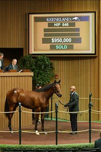 Find New Roads in the ring at the 2019 Keeneland September Yearling Sale