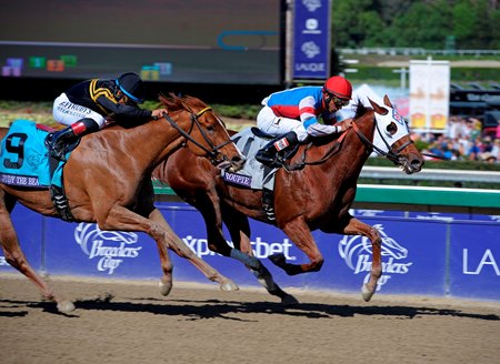 Groupie Doll wins the 2013 Breeders' Cup Filly and Mare Sprint