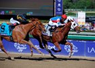 Groupie Doll wins the 2013 Breeders Cup Filly and Mare Sprint