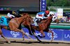 Groupie Doll wins the 2013 Breeders Cup Filly and Mare Sprint