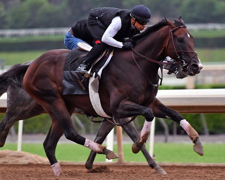 Omaha Beach Returns In Santa Anita Sprint Championship