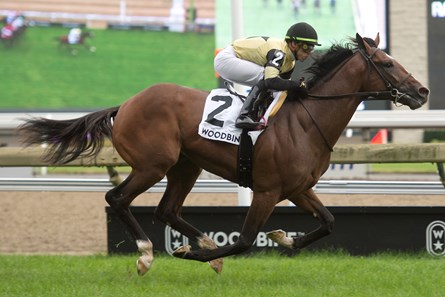 Decorated Invader - Horse Profile - BloodHorse