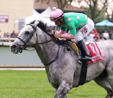 Pure Sensation wins his fourth Turf Monster Stakes last year at Parx Racing