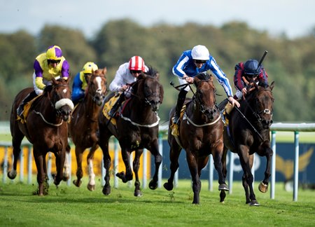 Horses race in the 2019 Sprint Cup at Haydock Park