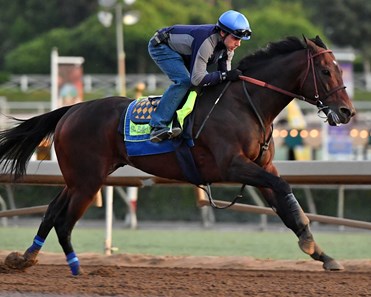 McKinzie - Horse Profile - BloodHorse