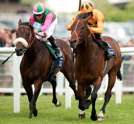 Canford Cliffs (right) wins the 2011 Lockinge Stakes at Newbury 