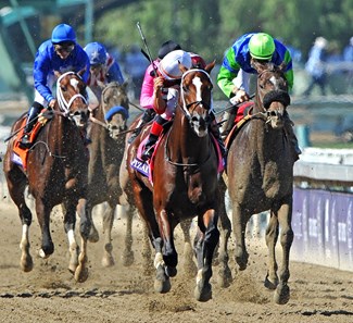 Tapizar - Horse Profile - BloodHorse