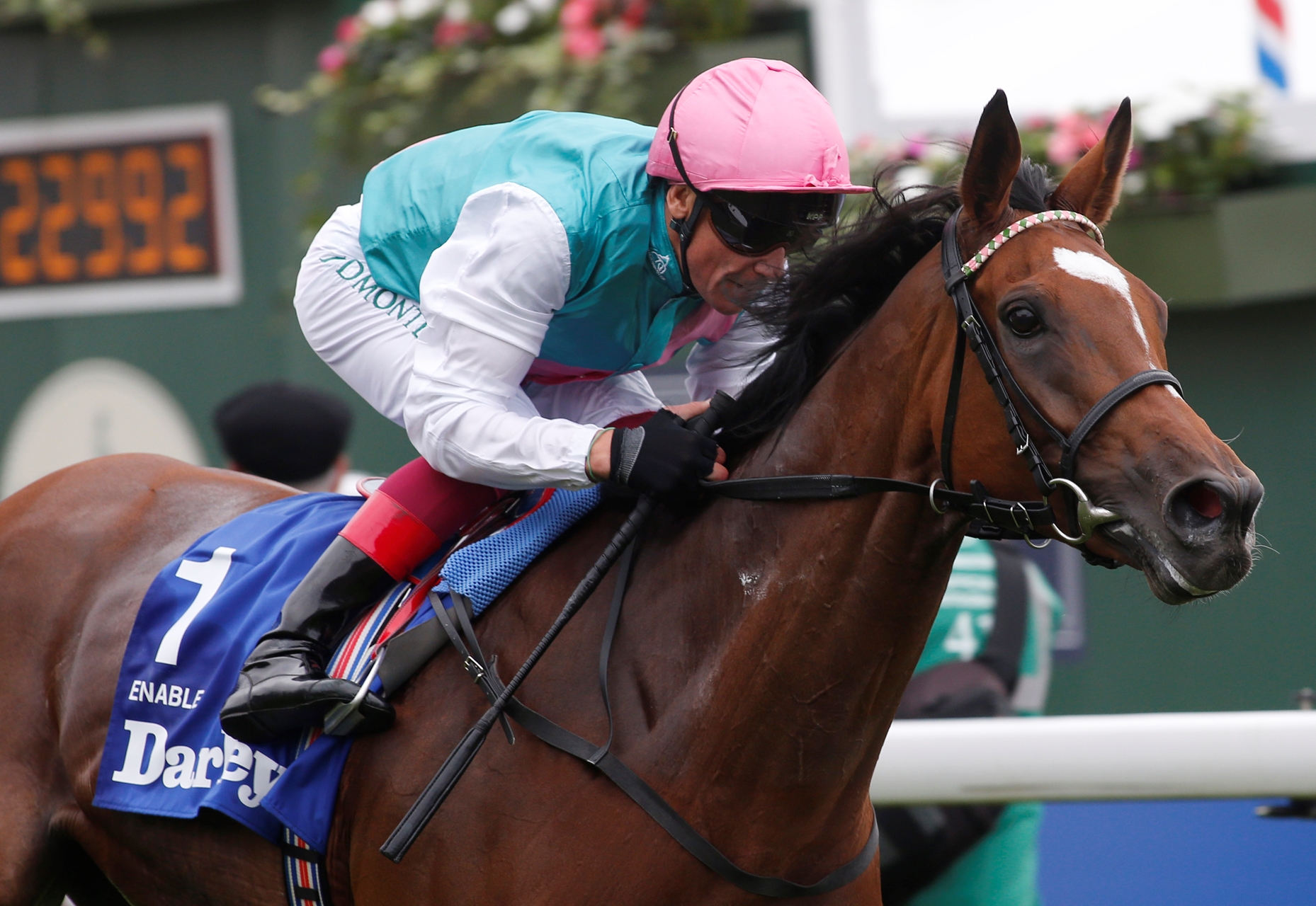 Enable Tops World s Best Racehorse Rankings BloodHorse