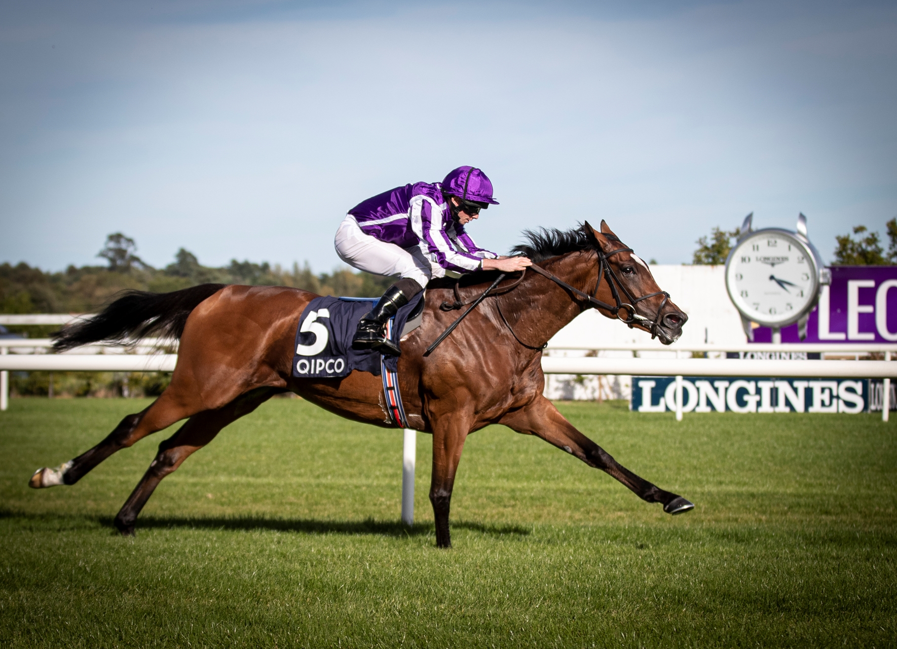 Champions Day Prize Money Slashed Due to COVID 19 BloodHorse