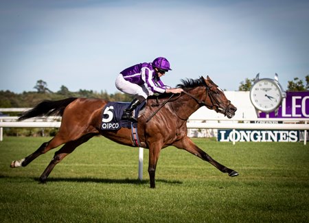 Magical wins the 2019 Champion Stakes at Leopardstown 