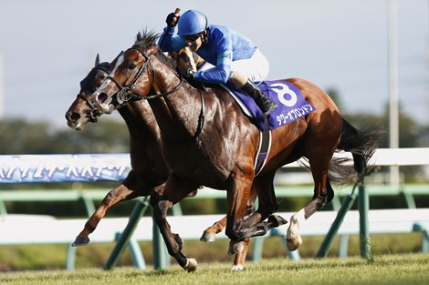 Tower of London, Win Bright Sire First Winners in Japan