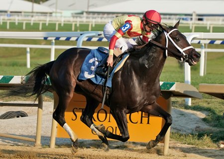 Meadow Dance, pictured winning the 2019 Weathervane Stakes at Laurel Park, is among six supplements to the 2025 Keeneland January Horses of All Ages Sale