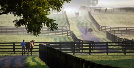 Spendthrift Farm 2019