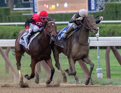 Perfect Alibi - Horse Profile - BloodHorse