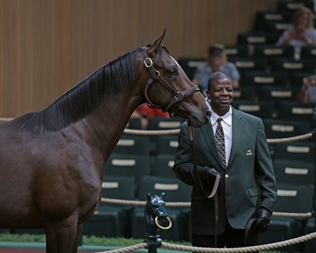 Cordell Anderson works his magic at the 2019 Keeneland September Sale