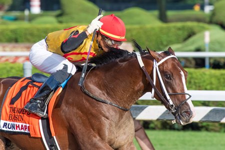 Basin wins the 2019 Hopeful Stakes at Saratoga Race Course