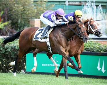 Fenwick Station - Horse Profile - BloodHorse